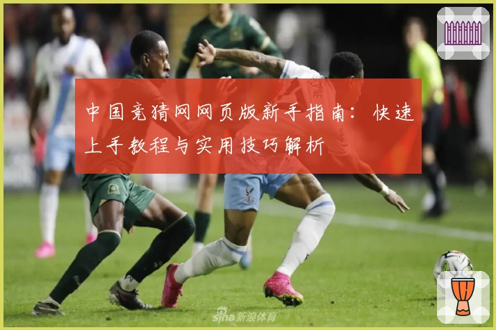 中国竞猜网网页版新手指南：快速上手教程与实用技巧解析